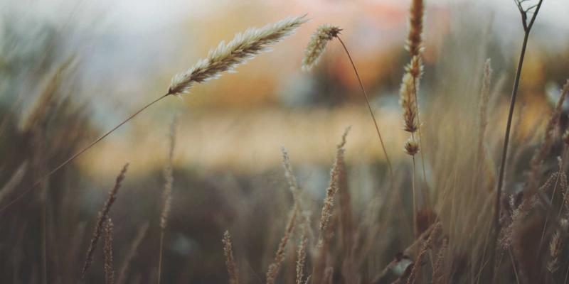 从卖设备到卖服务：解码佛山新飞翔如何用智能服务掘金工业后市场蓝海