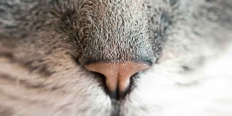 佛山新飞翔：揭秘如何通过精益生产管理，将精密设备交付周期缩短30%的实战方法论